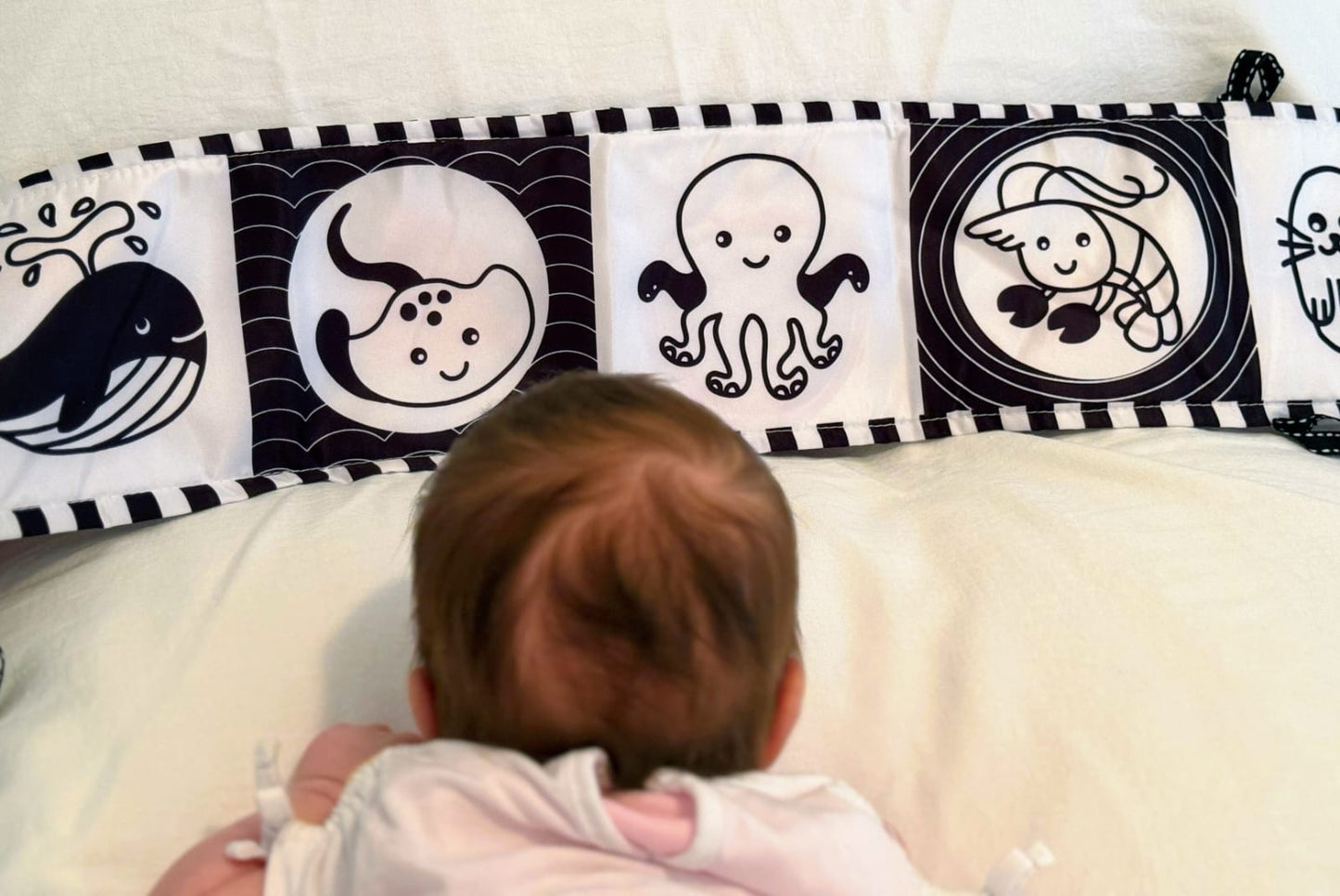 Liber Montessori - Modeli 6