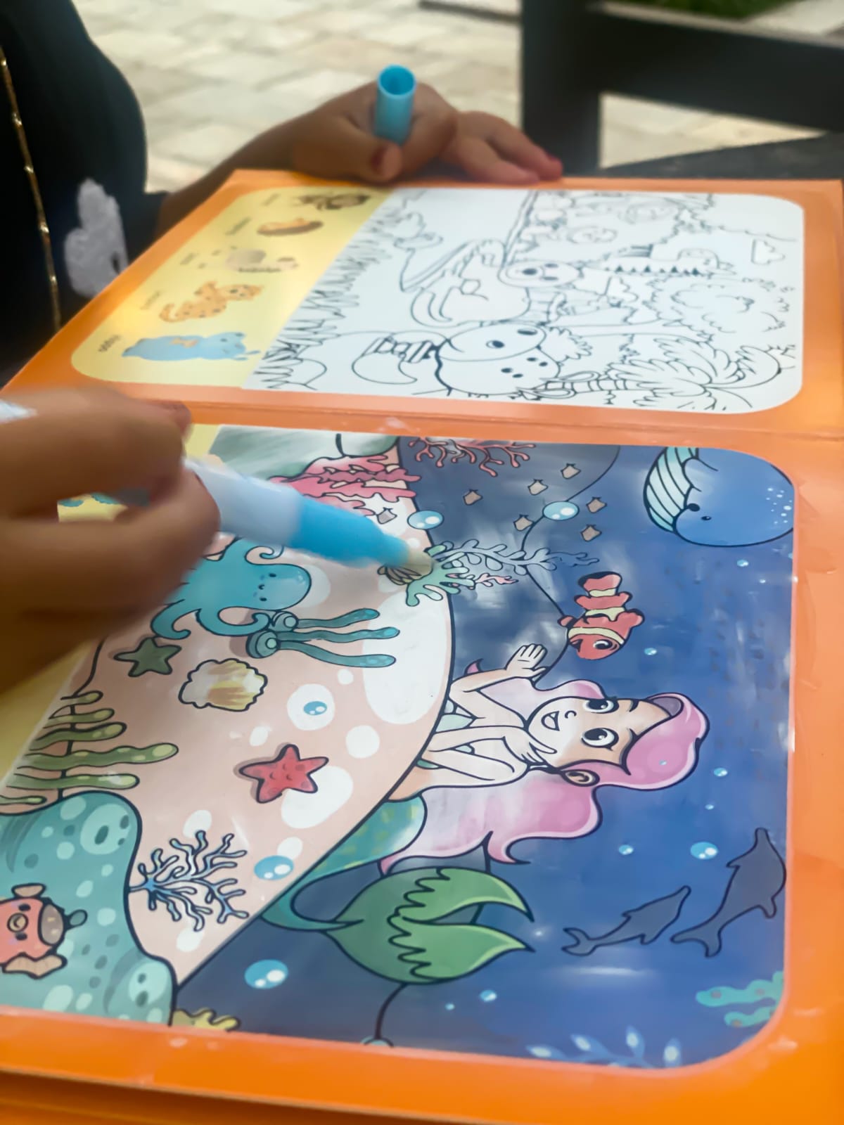 Liber i qetesise Montessori