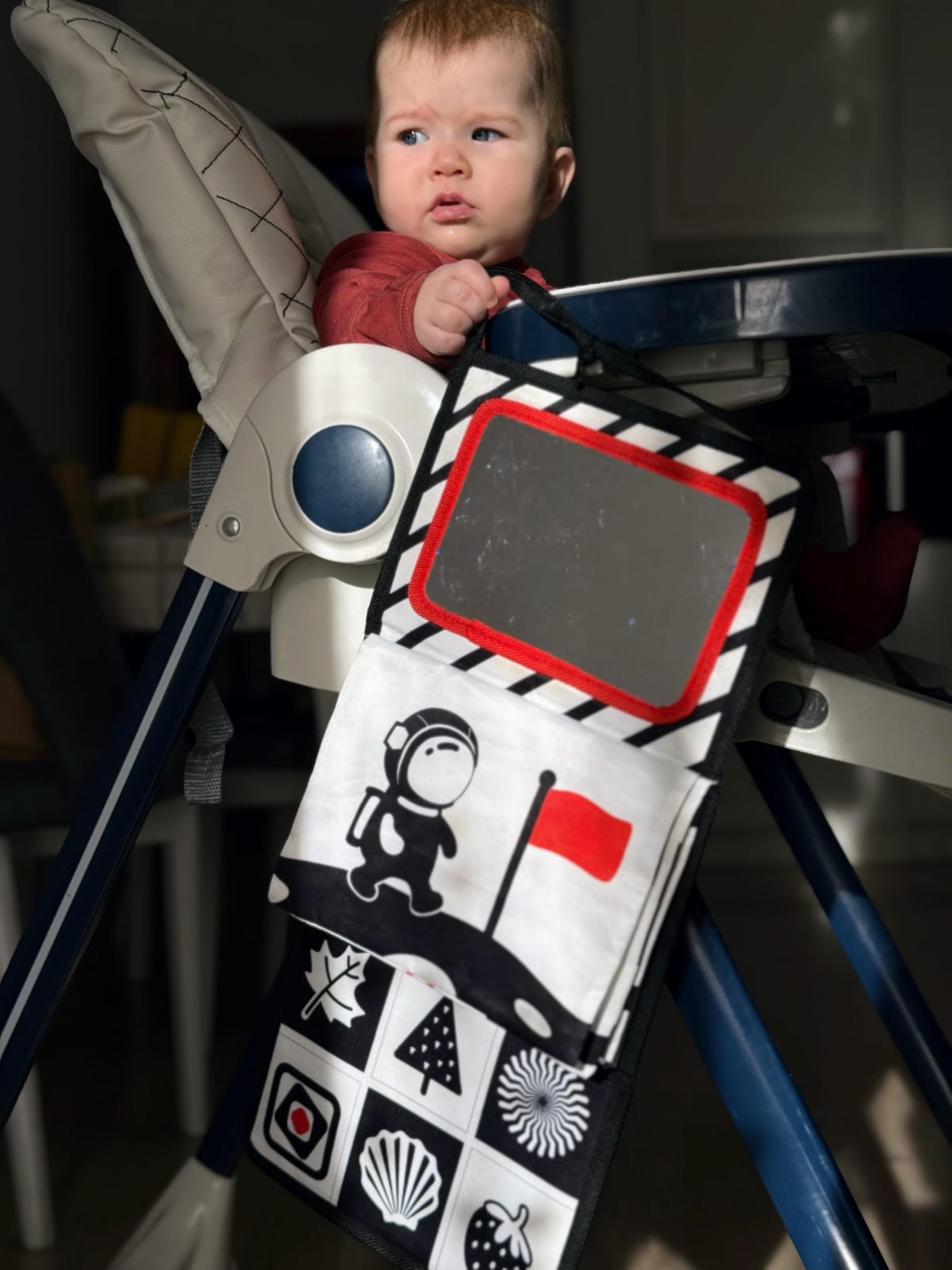 Liber Sensiorial Montesori