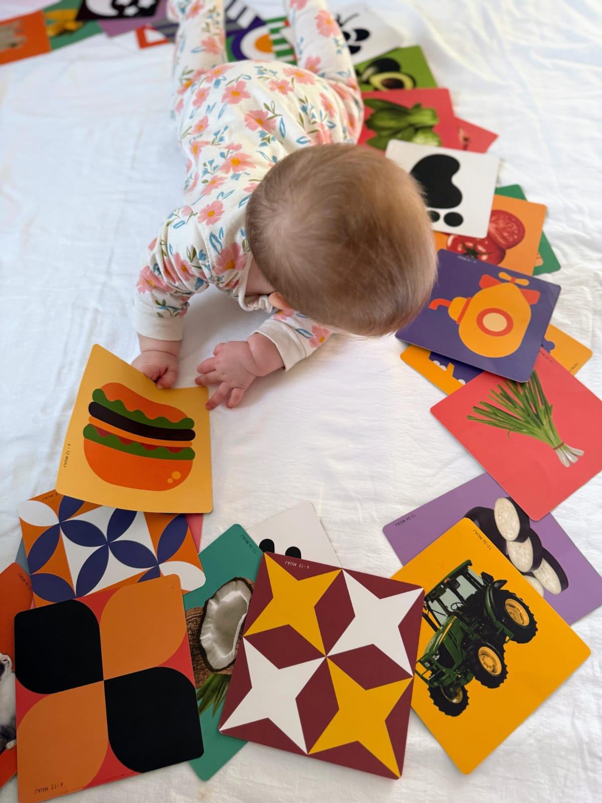 Karta vizuale (4 sete)