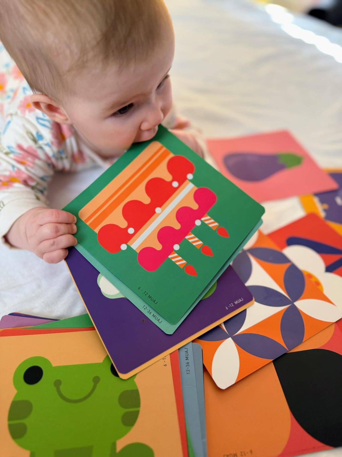 Karta vizuale (4 sete)