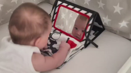 Liber Sensiorial Montesori